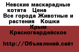 Невские маскарадные котята › Цена ­ 20 000 - Все города Животные и растения » Кошки   . Крым,Красногвардейское
